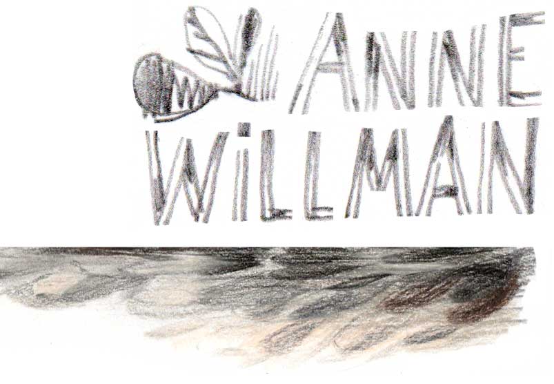 Anne Willman Logo
